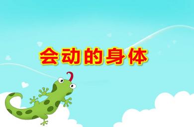 會(huì)動(dòng)的身體PPT課件教案