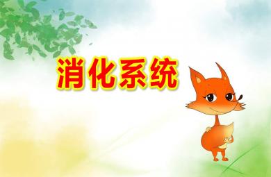 幼兒園消化系統(tǒng)PPT課件教案