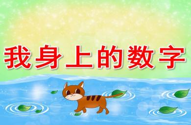 中班我身上的數(shù)字PPT課件教案