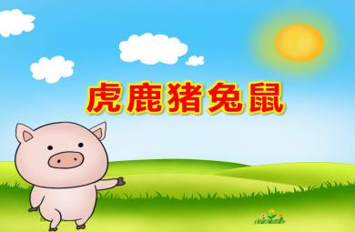 虎鹿豬兔鼠PPT課件教案