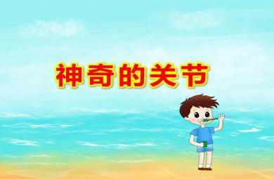 大班神奇的關節PPT課件教案