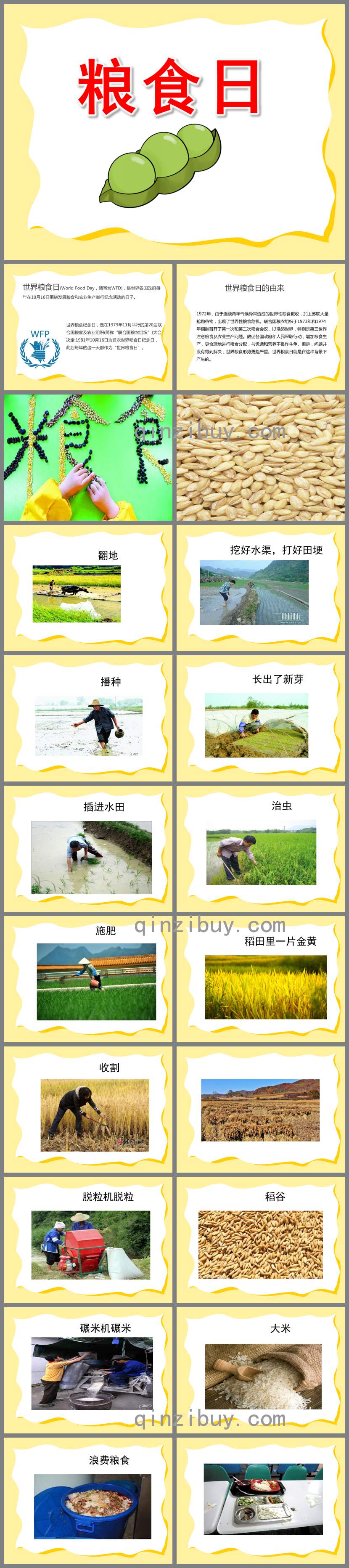 小班糧食日ppt課件教案