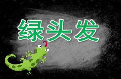 綠頭發(fā)PPT課件教案