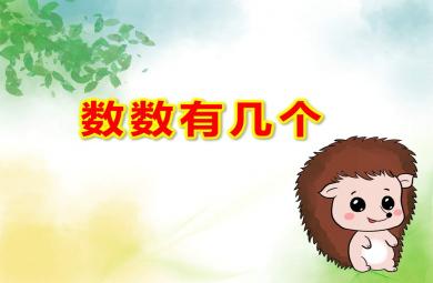 數(shù)數(shù)有幾個(gè)PPT課件教案