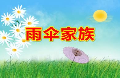 小班科學雨傘家族PPT課件教案