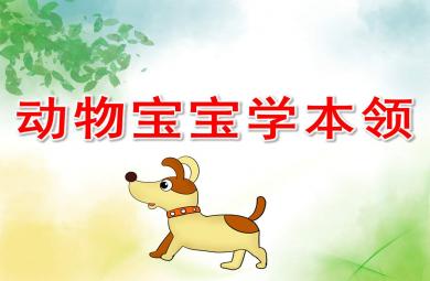 動物寶寶學本領PPT課件教案