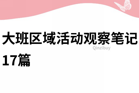 大班區域活動觀察筆記17篇