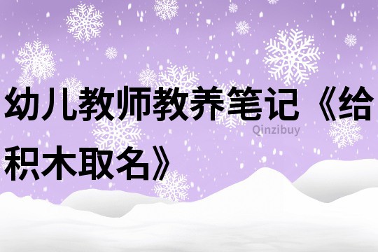 幼兒教師教養筆記《給積木取名》