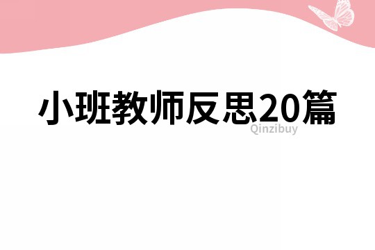 小班教師反思20篇