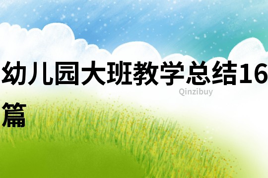 幼兒園大班教學總結16篇