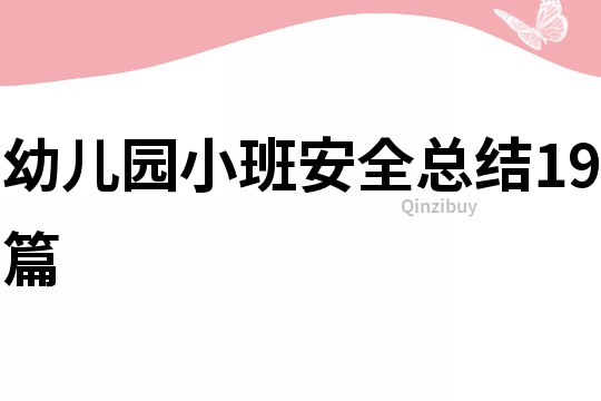 幼兒園小班安全總結19篇