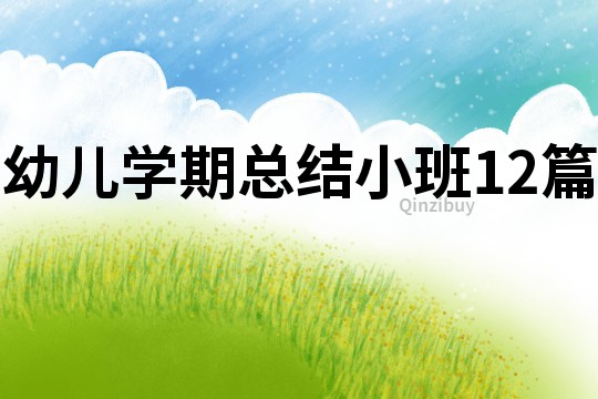 幼兒學期總結小班12篇