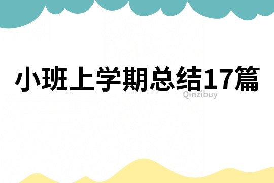小班上學期總結17篇
