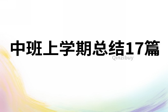 中班上學期總結17篇