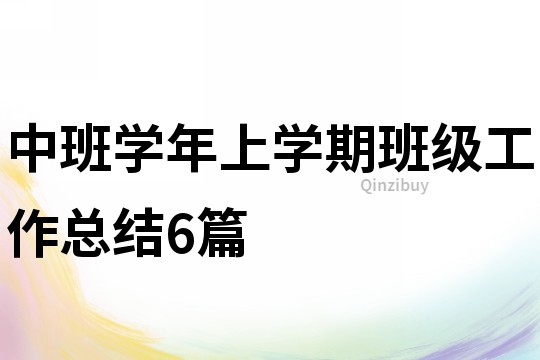 中班學年上學期班級工作總結6篇