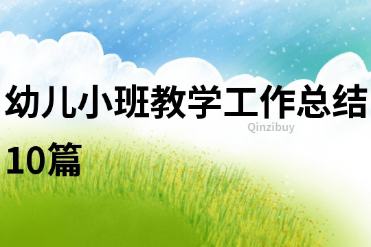 幼兒小班教學工作總結10篇
