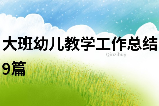 大班幼兒教學(xué)工作總結(jié)9篇