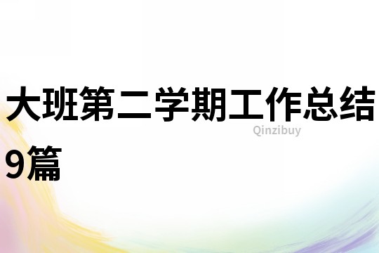 大班第二學期工作總結9篇