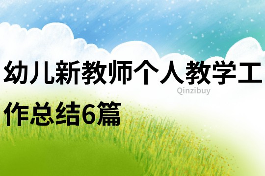 幼兒新教師個人教學工作總結(jié)6篇