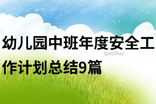 幼兒園中班年度安全工作計(jì)劃總結(jié)9篇