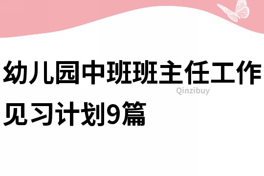 幼兒園中班班主任工作見習計劃9篇