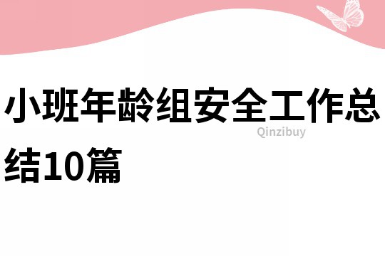 小班年齡組安全工作總結10篇