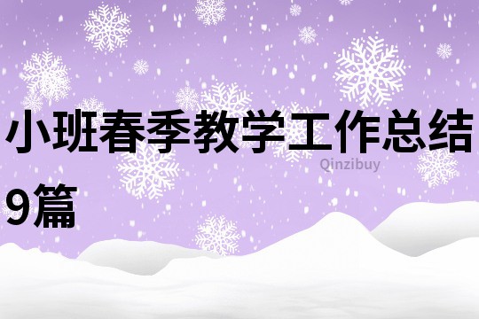 小班春季教學工作總結9篇