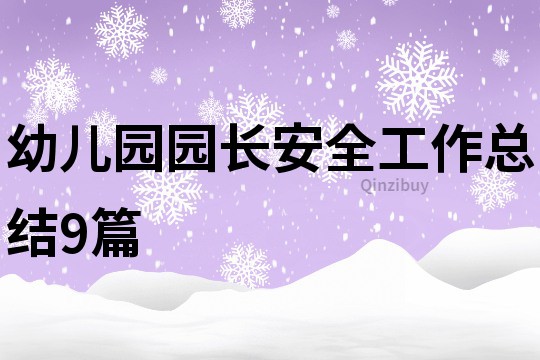 幼兒園園長安全工作總結9篇