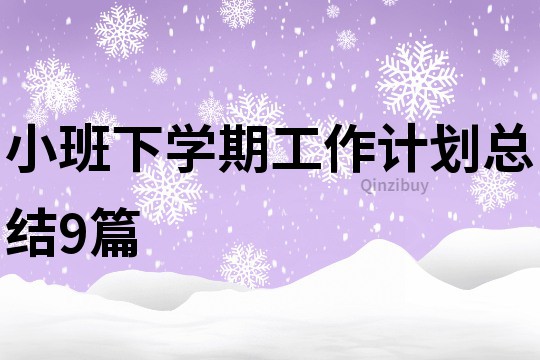 小班下學(xué)期工作計(jì)劃總結(jié)9篇