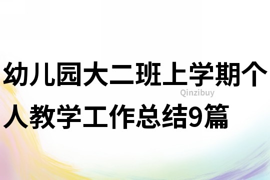 幼兒園大二班上學(xué)期個(gè)人教學(xué)工作總結(jié)9篇