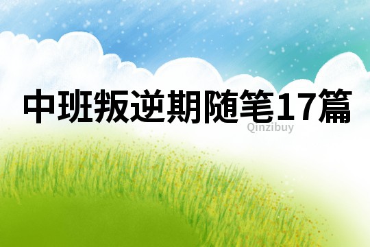 中班叛逆期隨筆17篇