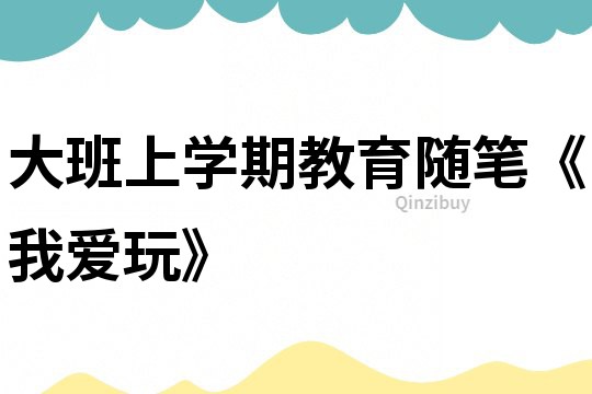 大班上學期教育隨筆《我愛玩》