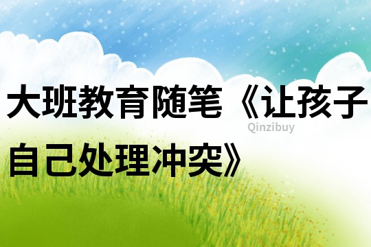 大班教育隨筆《讓孩子自己處理沖突》