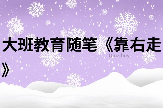 大班教育隨筆《靠右走》