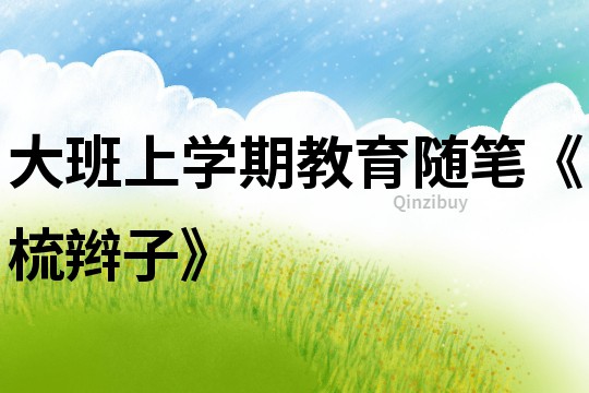 大班上學(xué)期教育隨筆《梳辮子》