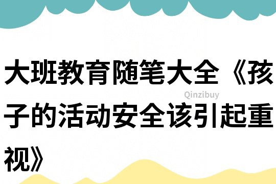 大班教育隨筆大全《孩子的活動安全該引起重視》