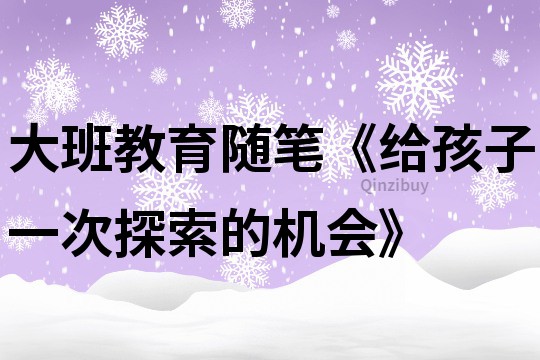 大班教育隨筆《給孩子一次探索的機會》