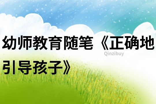 幼師教育隨筆《正確地引導孩子》