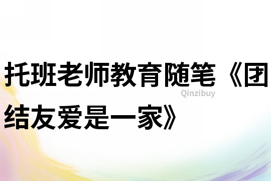 托班老師教育隨筆《團結友愛是一家》