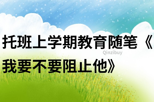 托班上學期教育隨筆《我要不要阻止他》