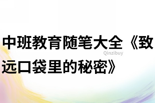 中班教育隨筆大全《致遠(yuǎn)口袋里的秘密》