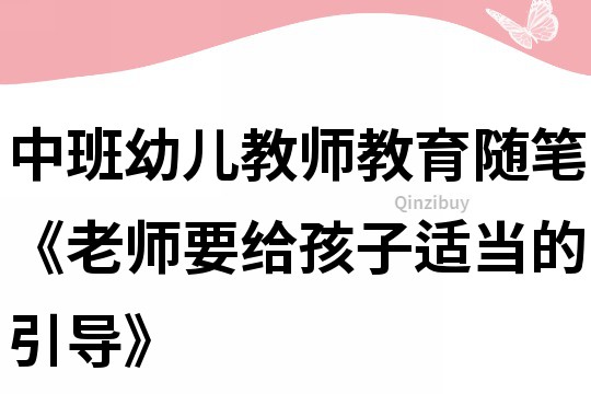 中班幼兒教師教育隨筆《老師要給孩子適當(dāng)?shù)囊龑?dǎo)》