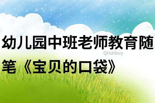 幼兒園中班老師教育隨筆《寶貝的口袋》