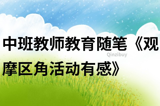 中班教師教育隨筆《觀摩區(qū)角活動有感》