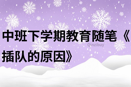 中班下學期教育隨筆《插隊的原因》