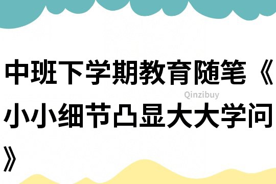 中班下學期教育隨筆《小小細節凸顯大大學問》