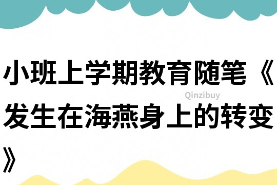 小班上學(xué)期教育隨筆《發(fā)生在海燕身上的轉(zhuǎn)變》