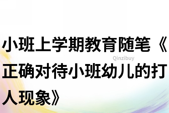 小班上學(xué)期教育隨筆《正確對待小班幼兒的打人現(xiàn)象》