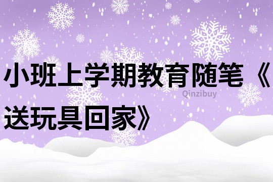 小班上學期教育隨筆《送玩具回家》
