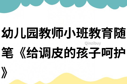 幼兒園教師小班教育隨筆《給調皮的孩子呵護》